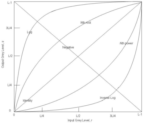 Curves of various transformations